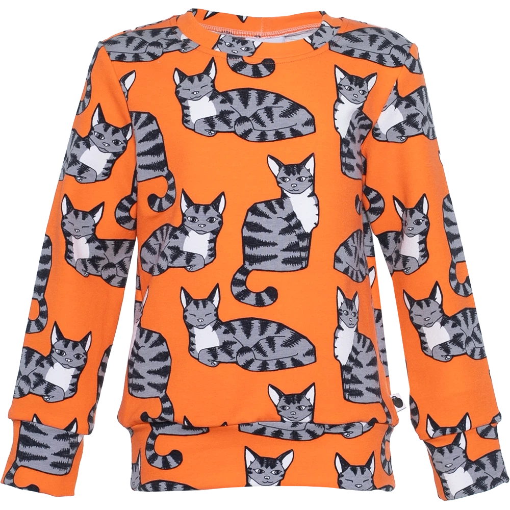 ALPI Cat Sweatshirt - 2 Left Size 2-3 & 3-4 years-PaaPii-centristecnologia