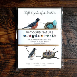 Backyard Nature Art Cards - Life Cycles-Stephanie Hathaway Designs-centristecnologia