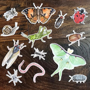 Minibeasts - Set of 13 Matte Stickers-Stephanie Hathaway Designs-centristecnologia