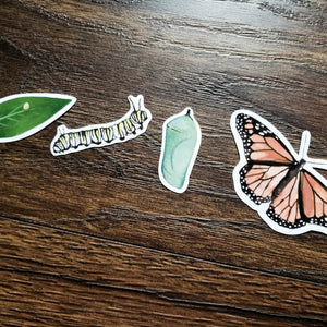 Monarch Lifecycle - Set of 4 Matte Stickers-Stephanie Hathaway Designs-centristecnologia