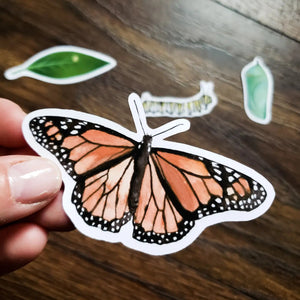 Monarch Lifecycle - Set of 4 Matte Stickers-Stephanie Hathaway Designs-centristecnologia