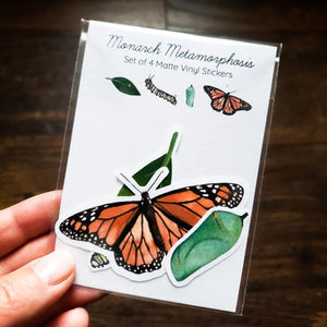 Monarch Lifecycle - Set of 4 Matte Stickers-Stephanie Hathaway Designs-centristecnologia