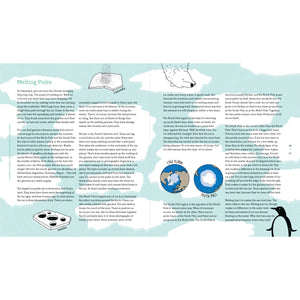 Palm Trees at the North Pole-Greystone-centristecnologia