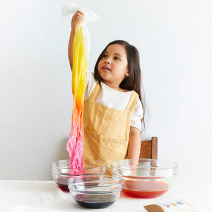 Sarah's Silks x eco-kids Playsilk Dye Kit-Sarah's Silks-centristecnologia