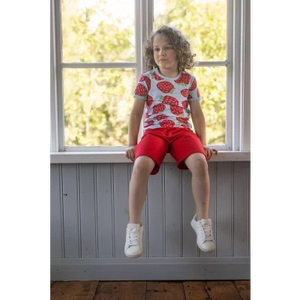 VISA Short Sleeve Shirt - Strawberry on Blue - 2 Left Size 4-5 & 6-7 years-PaaPii-centristecnologia